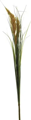 Produktbild von artplants.de Dekozweig Wiesen-Lieschgras LINGWEN mit Rispen, orange, 105 cm - Rispengras künstlich