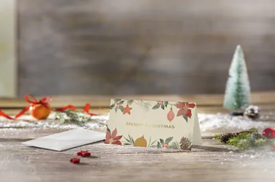 Produktbild von SIGEL DS095 Weihnachts-Karten Weihnachtsdeko und Tannenzweige - DIN lang - 10 Karten + Umschläge inkl. inkl. Umschläge