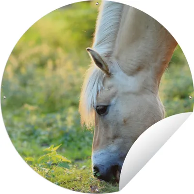 Produktbild von MuchoWow® Gartenposter Outdoor-Poster Rund Weidendes Fjordpferd an einem Sommertag Ø 60 cm Gartendeko Rundes Poster draußen