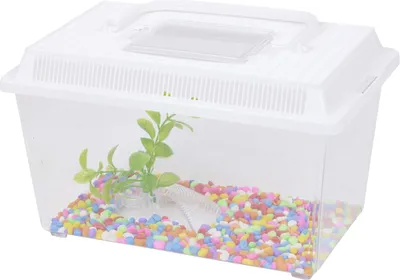 Produktbild von Kunststoff Aquarium Starter Set - Perfekt für junge Fischliebhaber