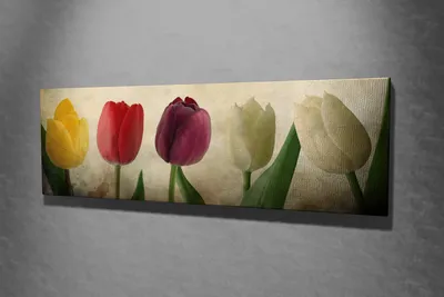 Produktbild von Wallity, PC147- VGA1116, Bunt, Leinwandbilder, 30 x 80 cm, 100% Leinwand