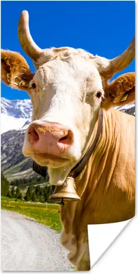 Produktbild von MuchoWow® Poster Kuh - Schnee - Alpen 60x120 cm - Wandschmuck