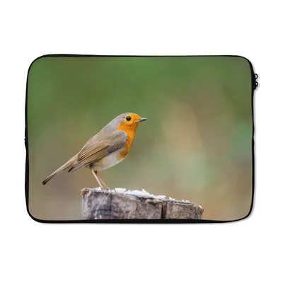 Produktbild von MuchoWow® Laptop Hülle 13 Zoll Tiere - Vogel - Rotkehlchen Laptoptasche - Laptophülle - Sleeve - Rundumschutz