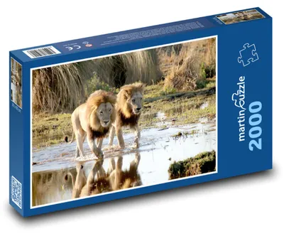 Produktbild von martinpuzzle - Puzzle 2000 Teile - Ein Paar Löwen