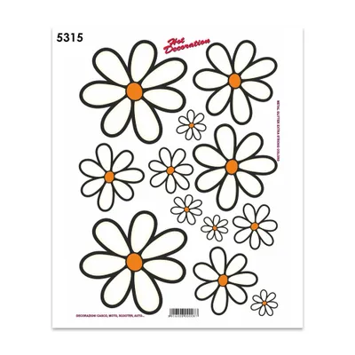 Produktbild von Sticker Gänseblümchen 35 x 25 cm