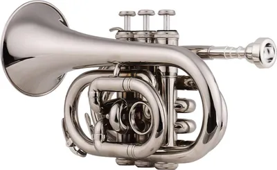 Image de Mini-trompette de poche Sib Instrument à vent plat en laiton avec embouchure Gants Chiffon de nettoyage Sac de transport