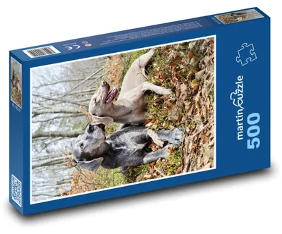 Obrázek produktu pro martinpuzzle - Puzzle 500 - Psi