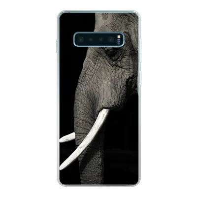 Produktbild von MuchoWow® Handyhülle Schutzhülle Hülle für Samsung Galaxy S10 Lite Elefant - Tier - Stoßzahn Silikon Softcase Handy Hülle - Schutz