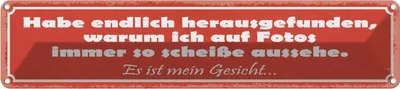 Produktbild von vianmo Blechschild 10x46 cm Habe endlich herausgefunden, warum Spruch Zitat