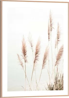 Produktbild von Wandbild - Braun - Weiß - 30 x 40 cm - Pampasgras