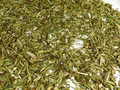 Produktbild von Ysopkraut geschnitten Naturideen® 100g