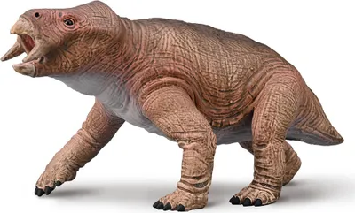 Produktbild von Collecta Dinosaurier Spielzeug Placerias 1:20 Maßstab - lehrreich
