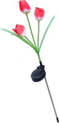 Zdjęcie produktu dla Solar Tulip Garden Light 3 Branches Wodoodporna zewnętrzna lampa solarna LED Tulip Flower Stake Light do dekoracji patio i podwórka Czerwony