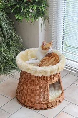 Produktbild von animal-design Katzen-Haus Katzen-Höhle Katzen-Turm Katzen-Bett Katzen-Korb weiche Plüsch-Einlage waschbar Ø ca. 50 cm, Höhe: ca. 50 cm