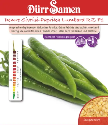 Produktbild von Demre Sivrisi-Paprika Lumbard RZ F1 | Sivrisi-Paprikasamen von Dürr Samen