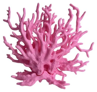 Productafbeelding van Houten aquariumdecoratie, kunstkoraal, 12 cm x 15 cm