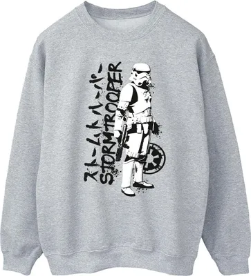 Produktbild von Star Wars - Sweatshirt für Herren BI45986 (L) (Grau)