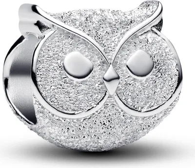 Produktbild von Pandora Textured owl 794525C00 Charm Anhänger