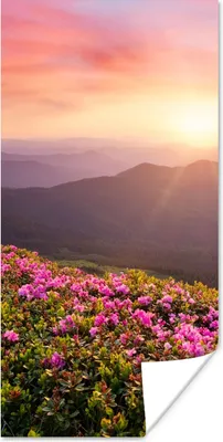 Produktbild von MuchoWow® Poster Blumen - Berg - Sonnenuntergang - Landschaft 20x40 cm - Plakat - Foto
