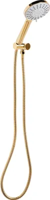 Produktbild von BELIANI Duschkopf mit Brauseschlauch Gold ABS Edelstahl 5 Strahlarten Modern Klassisch Handbrause Set für Badezimmer Dusche