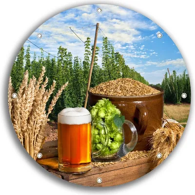 Produktbild von Wallario rundes Outdoor-Poster für Garten oder Balkon, Motiv Frisch gezapftes Bier, Hopfen und Malz, 30 cm Durchmesser