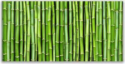 Imagen del producto de Panel protector de vidrio para cocina, 120x60 cm, con diseño de bambú y plantas