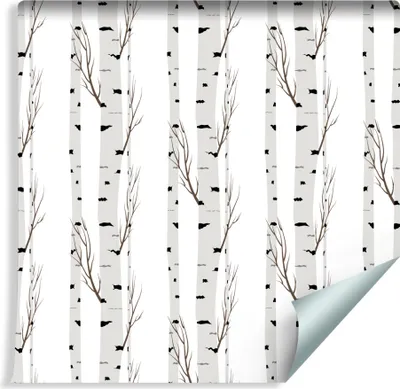 Produktbild von 10m VLIES TAPETE Rolle Birken Baum √Ąste Stamm Natur XXL