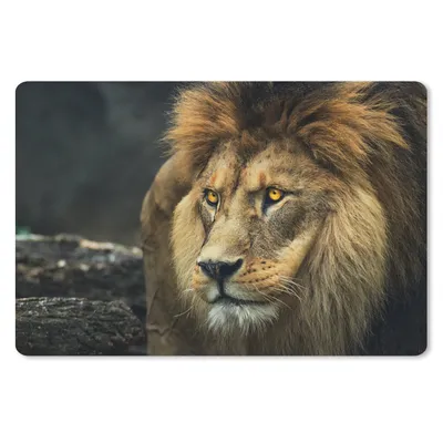 Produktbild von MuchoWow® Schreibtischunterlage Löwe - Porträt - Wild 60x40 cm - XXL Mauspad - Großes Mauspad