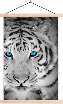 Produktbild von MuchoWow® Textilposter Tiger - Kopf - Augen 120x180 cm mit holzfarbenen Rahmen - Textil-Plakat