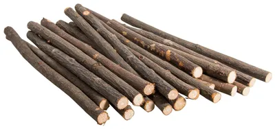 Produktbild von Aststücke, natur, Länge 20-25 cm