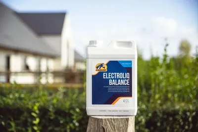 Produktbild von Cavalor Electroliq Balance 2l