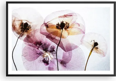 Produktbild von Gerahmtes Poster - Schwarzer Rahmen - blume sommer natur - 91,5x61 cm - Wand Bild - Wanddeko - Wandbilder - Kunstposter - Wandposter - Bilderrahmen - Bilder - Kunstdruck - Wandbild - P2BAA91x61-3821
