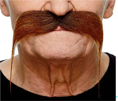 Obrázek produktu pro Mom Moustache Brown Brown One Size