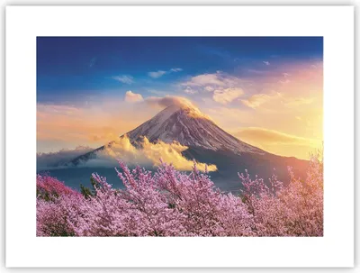 Produktbild von Poster - Poster ohne Rahmen - Fuji Blume Kirsche - 40x30 cm - Wand Bild - Wanddeko - Wandbilder - Kunstposter - Wandposter - Bilder - Kunstdruck - Wanddekoration - Wandbild - P2XAA40x30-4490