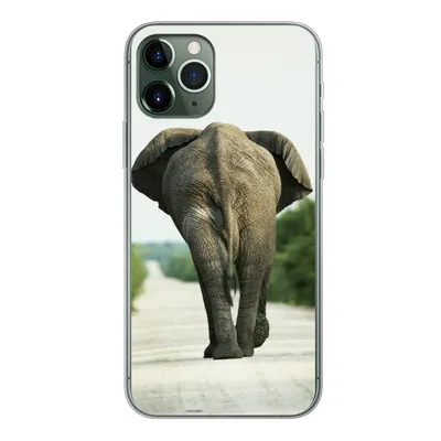 Produktbild von MuchoWow® Handyhülle Schutzhülle Hülle für iPhone 11 Pro Elefant - Kröte - Tiere - Natur Silikon Softcase Handy Hülle - Handy
