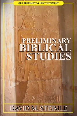 Produktbild von Preliminary biblical studies