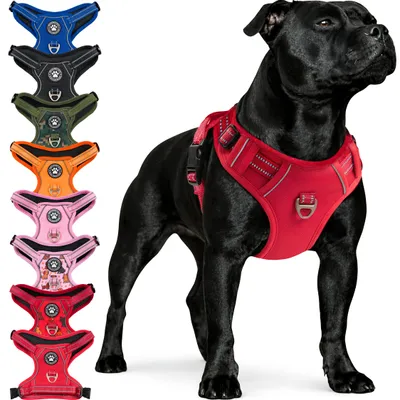 Produktbild von Reichstadt  Hundegeschirr 25RSP083 Red L