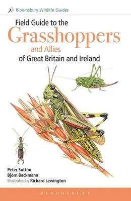 Zdjęcie produktu dla Field Guide to the Grasshoppers and Allies of Great Britain and Ireland
