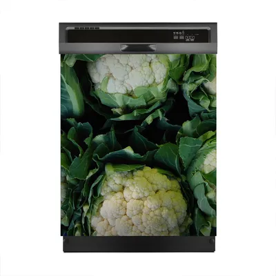 Produktbild von Magnete Dekorative 60x70 cm Küche Magnetmatte Spülmaschine - Blumenkohlblüten Gemüse