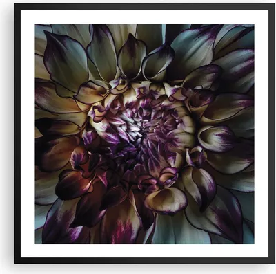 Produktbild von Gerahmtes Poster - Schwarzer Rahmen - Blätter Agave Blume - 60x60 cm - Wand Bild - Wanddeko - Wandbilder - Kunstposter - Wandposter - Bilderrahmen - Bilder - Kunstdruck - P2BAC60x60-5122