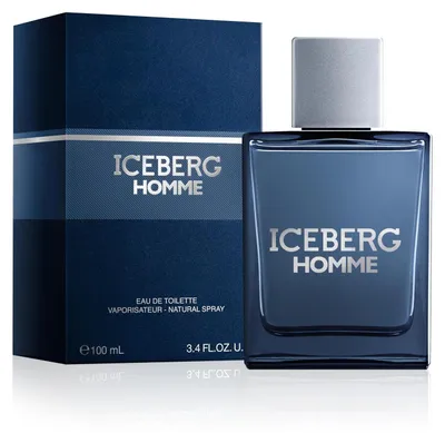 Image de Iceberg Homme Edt Spray 100ml
