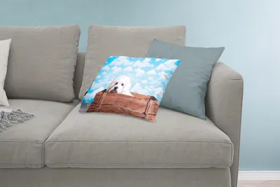 Produktbild von MuchoWow® Zierkissen Sofakissen Wohnzimmer Dekokissen 60x40 cm Malteser Hund in einer Holzkiste - Kopfkissen - Polster mit Foto