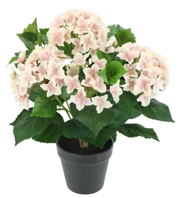 Produktbild von Künstliche Hortensie Rosa im Topf – 40cm – Kunstpflanze mit realistischen Blüten