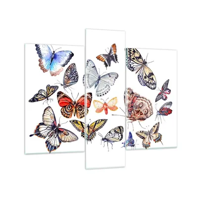Produktbild von Bilder auf glas - Schmetterlinge Illustration Bunt Flügel - 95x80cm - Glasbilder - Wandbilder - Kunstdruck - Wanddekoration aus Glas - Glas Bilder - Wandbild auf Glas - GCB95x80-2916