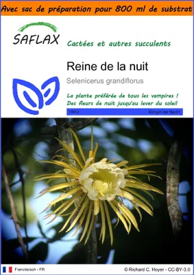 Image de SAFLAX Garden in the bag - Reine de la nuit - 40 graines - Selenicerus