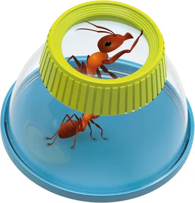 Obrázok produktu pre Mini veda - Insectolupa