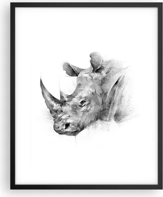 Produktbild von Gerahmtes Poster - Schwarzer Rahmen - Nashorn Porträt Grafik - 40x50 cm - Wand Bild - Wanddeko - Wandbilder - Kunstposter - Wandposter - Bilderrahmen - Bilder - Kunstdruck - P2BPA40x50-4378