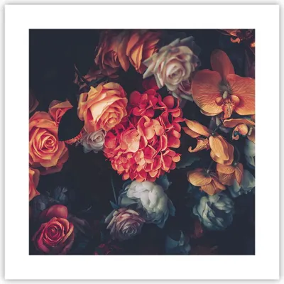 Produktbild von Poster - Poster ohne Rahmen - Blumenstrauß Blumen Rosen - 40x40 cm - Wand Bild - Wanddeko - Wandbilder - Kunstposter - Wandposter - Bilder - Kunstdruck - Wanddekoration - Wandbild - P2XAC40x40-5002