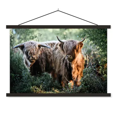 Produktbild von MuchoWow® Textilposter Schottische Highlander - Wald - Tiere 60x40 cm mit schwarzem Rahmen - Hölzernes