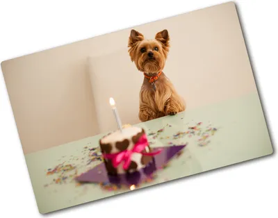 Produktbild von Tulup Glas Herdabdeckplatte - 80x52 cm - Glaskeramikkochfeld-Abdeckung Spritzschutz Glasabdeckplatte - Einteilig - Tiere - Hund mit Kuchen - Lila